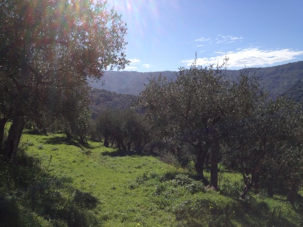 azienda milio esterno casa